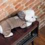 Костюм для собак Pet Fashion SOFT S (4823082427895): Розмір тваринного Маленькие