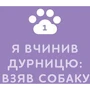 Оксана Галан: З ким я живу. Короткий курс для розуміння собаки: Обкладинка Мягкая