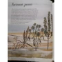 Памела Хикман: Природа навколо нас. Рослини. дерева: ISBN 978-5-00146-936-0