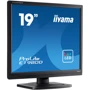 Монитор iiyama E1980D-B1: Покрытие экрана матовое