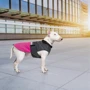 Попона Pet Fashion ROY малиново-сіра 2XL (4823082432912): Обхват грудей 60-72 см