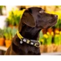 Ошейник Max & Molly Smart ID Collar - Monkey Maniac/L для собак (4894512050600): Назначение Для больших пород