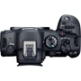 Canon EOS R6 Mark II + MT ADP EF-EOSR: Размер матрицы 36x24 мм