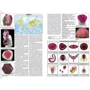 Всё о драгоценных камнях мира: ISBN 978-5-9603-0237-1