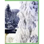 Пори року. Моя перша книжка: ISBN 978-966-462-894-2