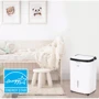 Осушитель воздуха Honeywell TP Small (24л) фото 6