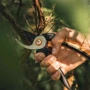 Секатор Fiskars Solid плоскостной P341 (1057164): Длина, см 26.5