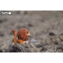 Сборная 3D модель Eugy Зоопарк: Лев (XEG-070)
