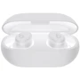 Наушники Beats by Dr. Dre Solo Buds Matte Black (MUVW3): Тип конструкции вакуумные