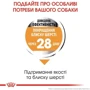 Сухой корм Royal Canin Coat Care Adult для собак мини пород с тусклой и сухой шерстью 3 кг (1220030): Тип Сухой корм
