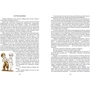 Всеволод Нестайко: Одиниця з обманом: Виробник школа