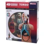Объемная анатомическая модель 4D Master Торс человека FM-626003