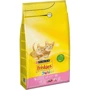 Сухий корм Friskies Junior з куркою та молоком 10 кг: Тип Сухий корм