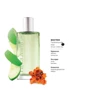 Парфюмированная вода LR Health and Beauty Classics Boston 50 ml: Аромат Пряный