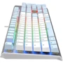 Клавиатура A4Tech FS100 (Icy Blue): Тип клавиатуры стандартная