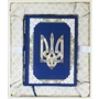 М. С. Грушевський: Ілюстрована історія України (в коробці)