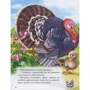 Чарівні казки малюкам: ISBN 978-617-663-924-4