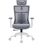 Офісне крісло OfficePro Balance OC620-W-DG-DG: Тип для персоналу
