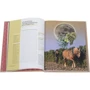 Вино за 30 секунд: ISBN 978-5-386-10150-3