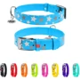 Нашийник Collar Glamour з візерунком Зірочка Світиться з QR паспортом 38-49 см 25 мм блакитний (4823089301334): Виробник Collar