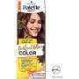 Palette PGC 3-65 Фарба для волосся Шоколад з аргановою олією 70 ml фото 7