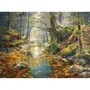 Пазлы Castorland Осенний лес 2000 элементов (C-200757): Производитель CASTORLAND
