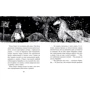 Корнелия Функе: Повелитель драконов. Книга 2. Перо грифона