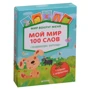 Мир вокруг меня. Мой мир. 100 слов + плакат с алфавитом. 50 развивающих карточек