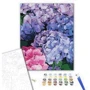 Картина по номерам Brushme Яркая гортензия 40x50 см (BS51667): Производитель Brushme