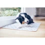 Лакомство для собак Purina Dentalife Medium средних пород для здоровья зубов и десен 115 г (12452740) фото 9