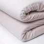 Матрац Lintex Футон зима/літо кремовий 160х200х5 см (мфб/зл-162): Тип матрац безпружинний
