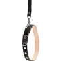 Ошейник с поводком Collar капроновый 14 мм 25-33 см черный (05481): Производитель Collar