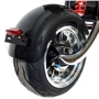 Электрочоппер ElectroBike Q-200SV Carbon: Вес устройства, кг 72