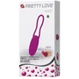 Виброяйцо с дистанционным управлением Pretty Love - DAVE 12 Functions USB, BI-014237