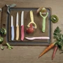 Набор кухонных ножей Victorinox SwissClassic Paring Set 3 пр. (6.7116.31L82): Наименование Набор ножей 3 пр.