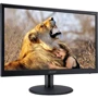 Монитор Acer EB192QBBI (UM.XE2EE.B01): Покрытие экрана матовое
