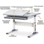 Детский стол Ergokids TH-320 Grey (арт. TH-320 W/G): Тип Парта