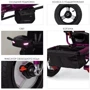 Велосипед Turbo Trike Len M 3115HA-18L Fuchsia (M 3115HA): Рекомендуемый возраст от 1 года