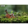 Сборная 3D модель Eugy Зоопарк: Тигр (XEG-012)