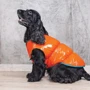Жилет Pet Fashion "SPRING" оранжевый XS2 (4823082420452): Размер животного Маленькие