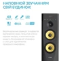 Акустическая система F&D T-88X Black: Формат акустики 2.0