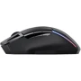 Мышь Trust GXT 131 Ranoo WL Black (24178): Максимальное разрешение сенсора, dpi 4800