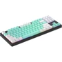 Клавиатура HATOR Rockfall 2 Mecha Signature Edition Black/Mint/White (HTK-520-BMW): Интерфейс подключения USB