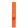 Remax Mini Selfie Stick Lightning Port 64cm Orange (XT-P012)
