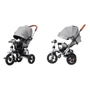 Велосипед триколісний Tilly Travel Сірий льон (T-387/1 GREY): Тип Велосипед-коляска
