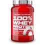 Протеїн Scitec nutrition 100% Whey Protein Professional 920 g /30 servings/ Salted Caramel