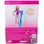 Кукла-лыжница Barbie Зимние виды спорта (HGM73): Возраст от 3 лет