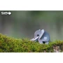 Збірна модель 3D Eugy Зоопарк: Слон (XEG-010)