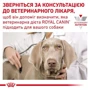 Сухой корм для собак Royal Canin Urinary S/O Moderate Calorie Dog при мочекаменной болезни 1.5 кг (3800015): Возраст Взрослые