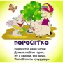 Ганна Чубач: Знайомся. Хто це? Книжка-картонка: Виробник Книжкова Хата